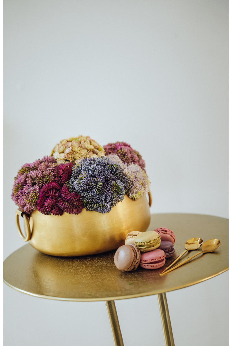 Beatrix Gold Sedum Arrangement, Alternate, color, Multi-Color