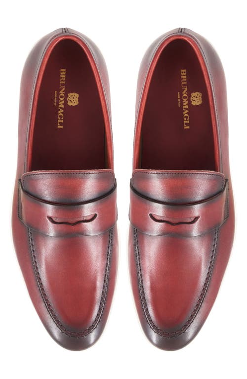 Bruno Magli Prato Penny Loafer In Bordeaux