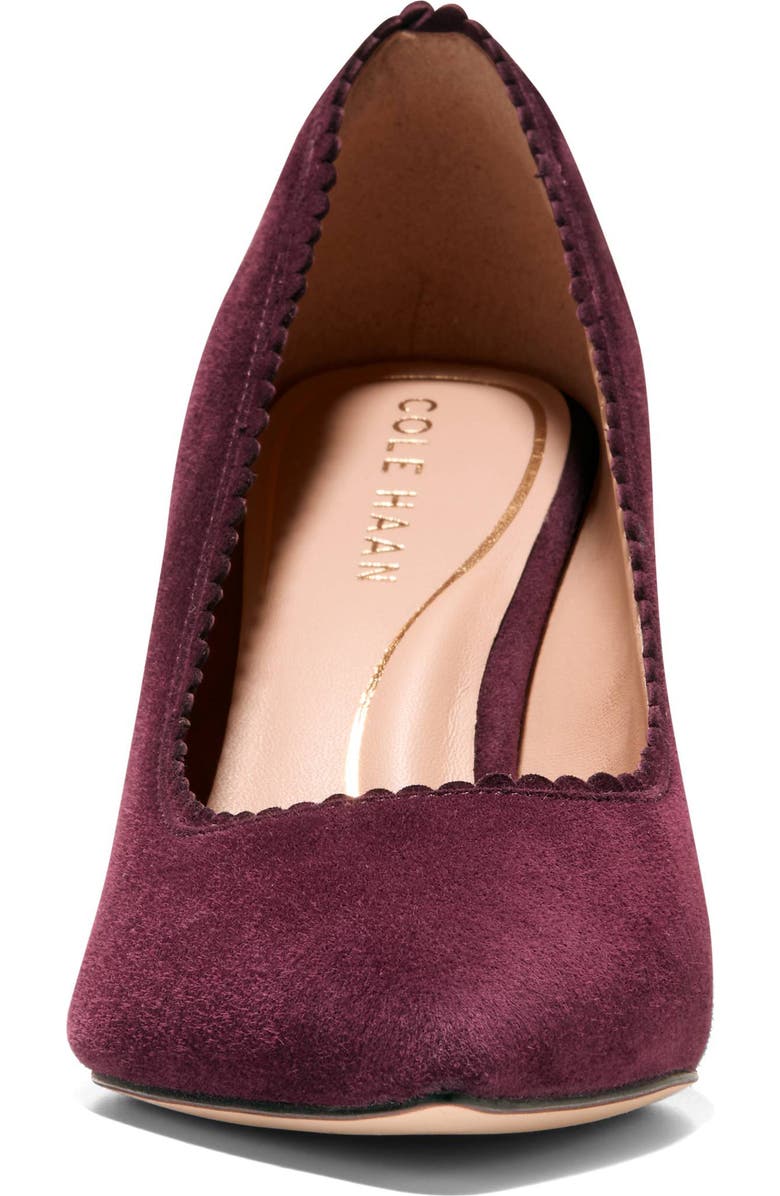 Cole Haan Bellport Pointed Toe Pump, Alternate, color, Black Garnet Suede