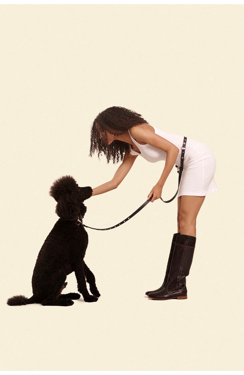 Little Beast Leather Pet Leash, Alternate, color,