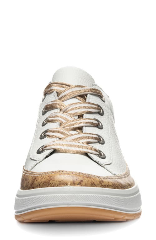 Ara Rem Sneaker In Multi