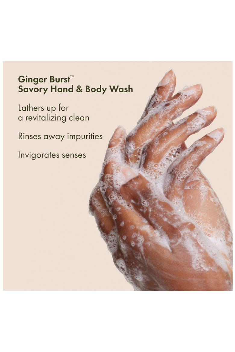 Ginger 3-Piece Body Collection, Alternate, color, NO COLOR