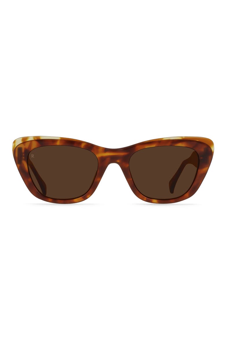Kimma 52mm Polarized Cat Eye Sunglasses, Main, color, TORTOISE