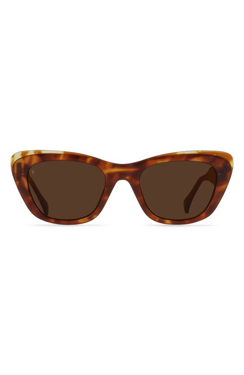 RAEN Kimma 52mm Polarized Cat Eye Sunglasses in Tortoise  product