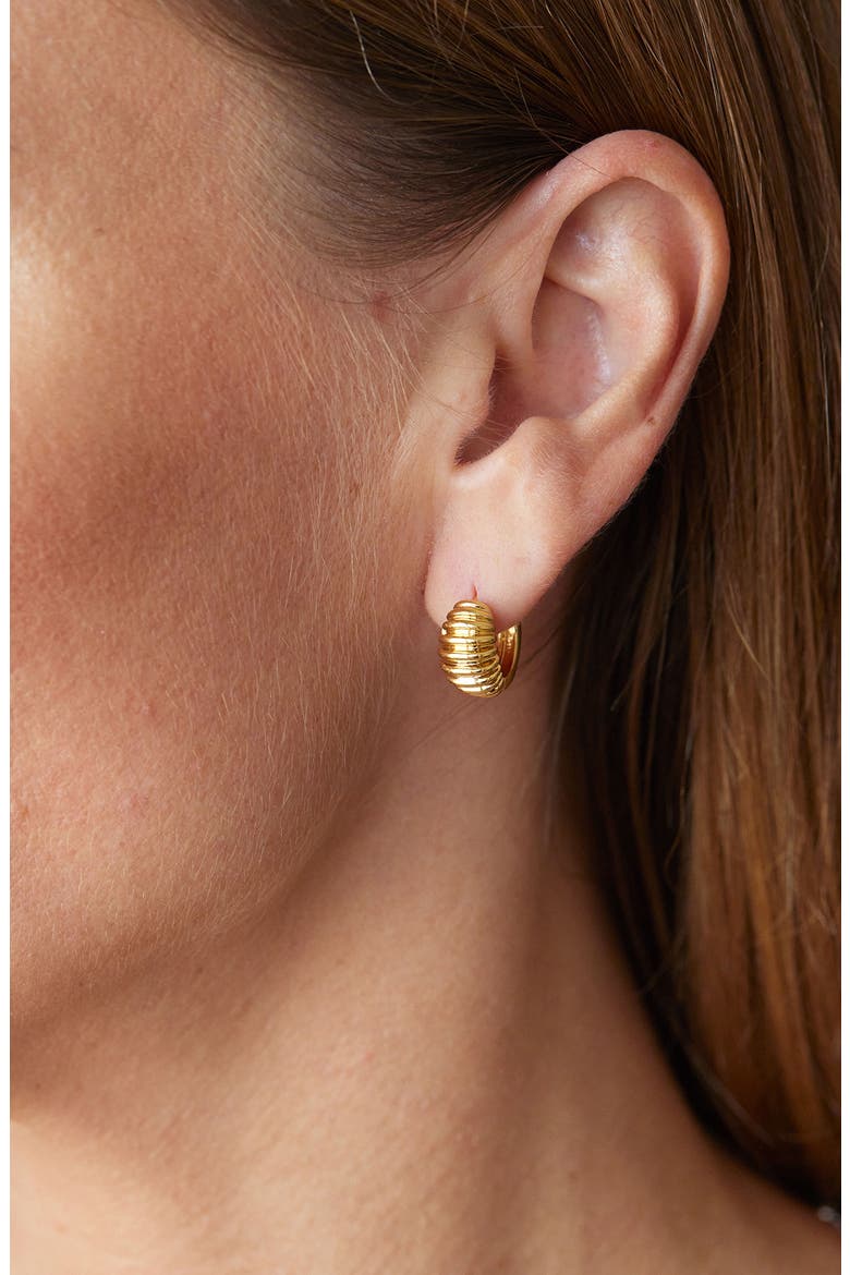 Graham Huggie Hoop Earrings, Alternate, color, YELLOW