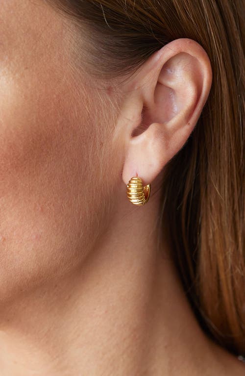 Savvy Cie Jewels Graham Hoop Ear In Yellow