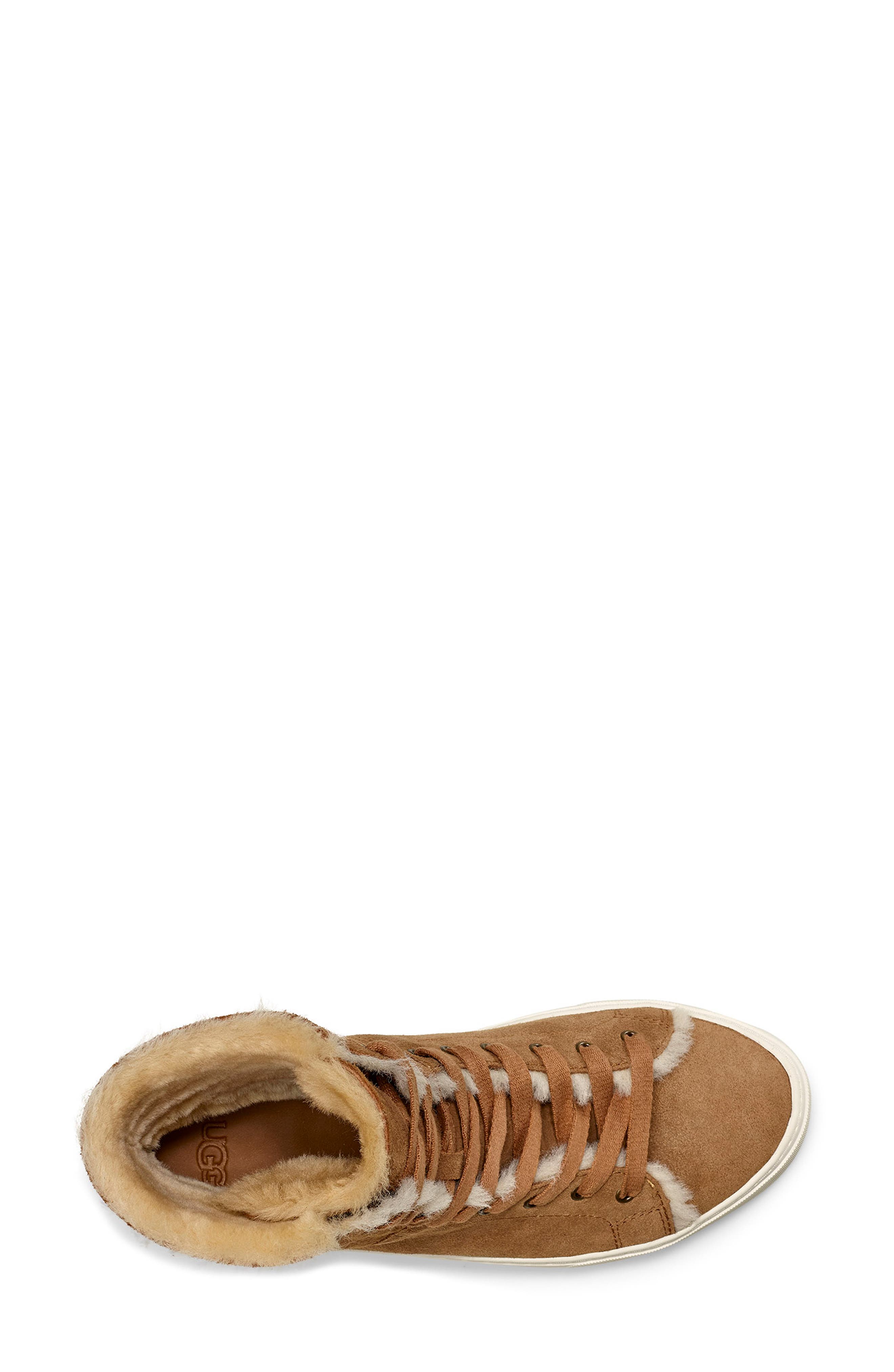 Beven Genuine Shearling High Top Sneaker, Alternate, color, CHESTNUT SUEDE