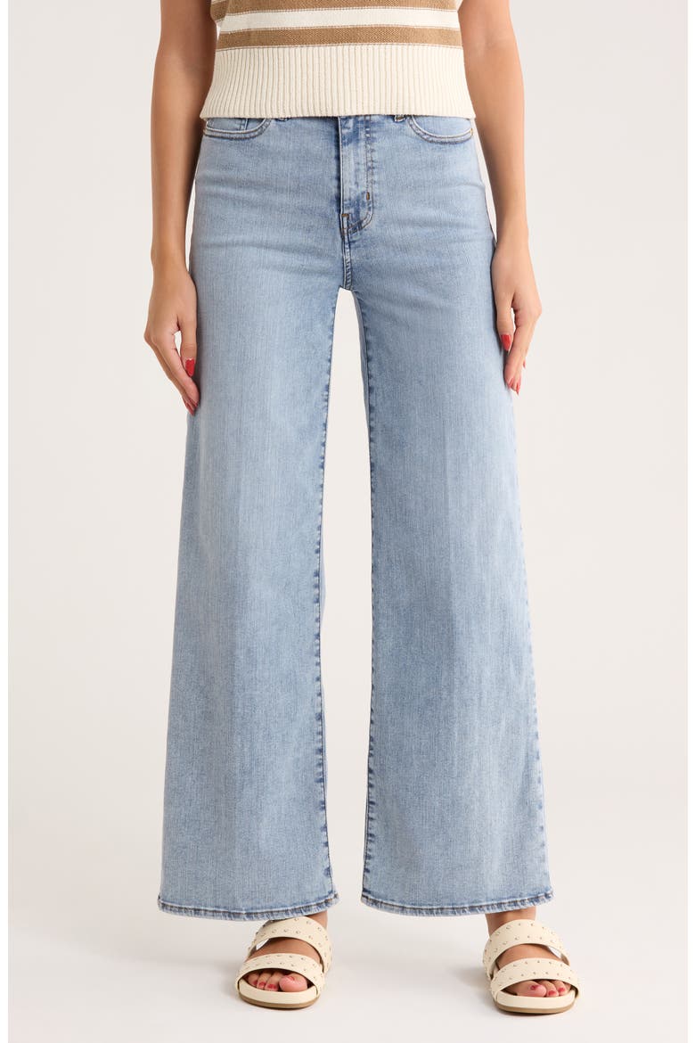Le Slim Palazzo High Waist Wide Leg Jeans, Main, color, ADAGIO