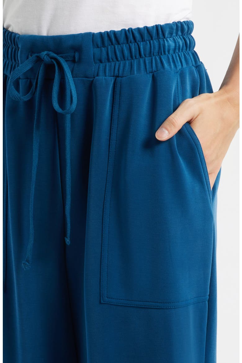 Crop Drawstring Pants, Alternate, color, BLUE OPAL