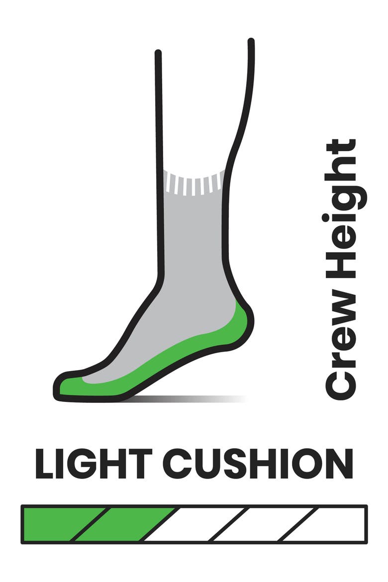 Hike Lite Cushioned Crew Socks, Alternate, color, MEDIUM GRAY