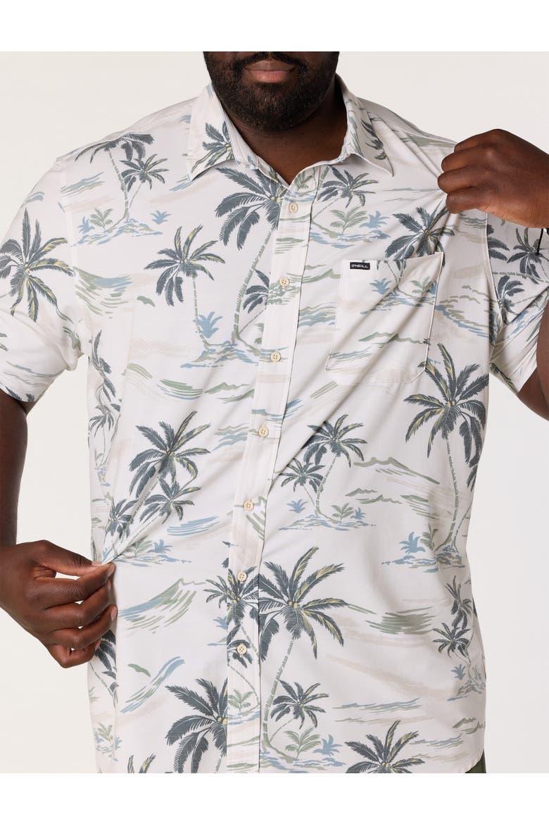 Big & Tall Tropical Print Performance Sport Shirt, Alternate, color, TOFU