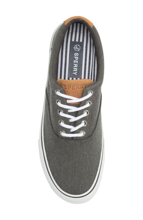 Sperry Striper Ii Cvo Sneaker In Black