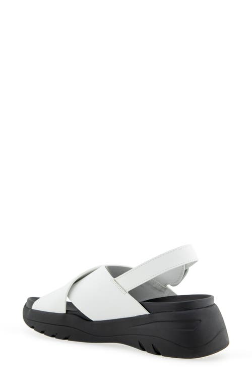 AEROSOLES AEROSOLES HARLOW PLATFORM SANDAL