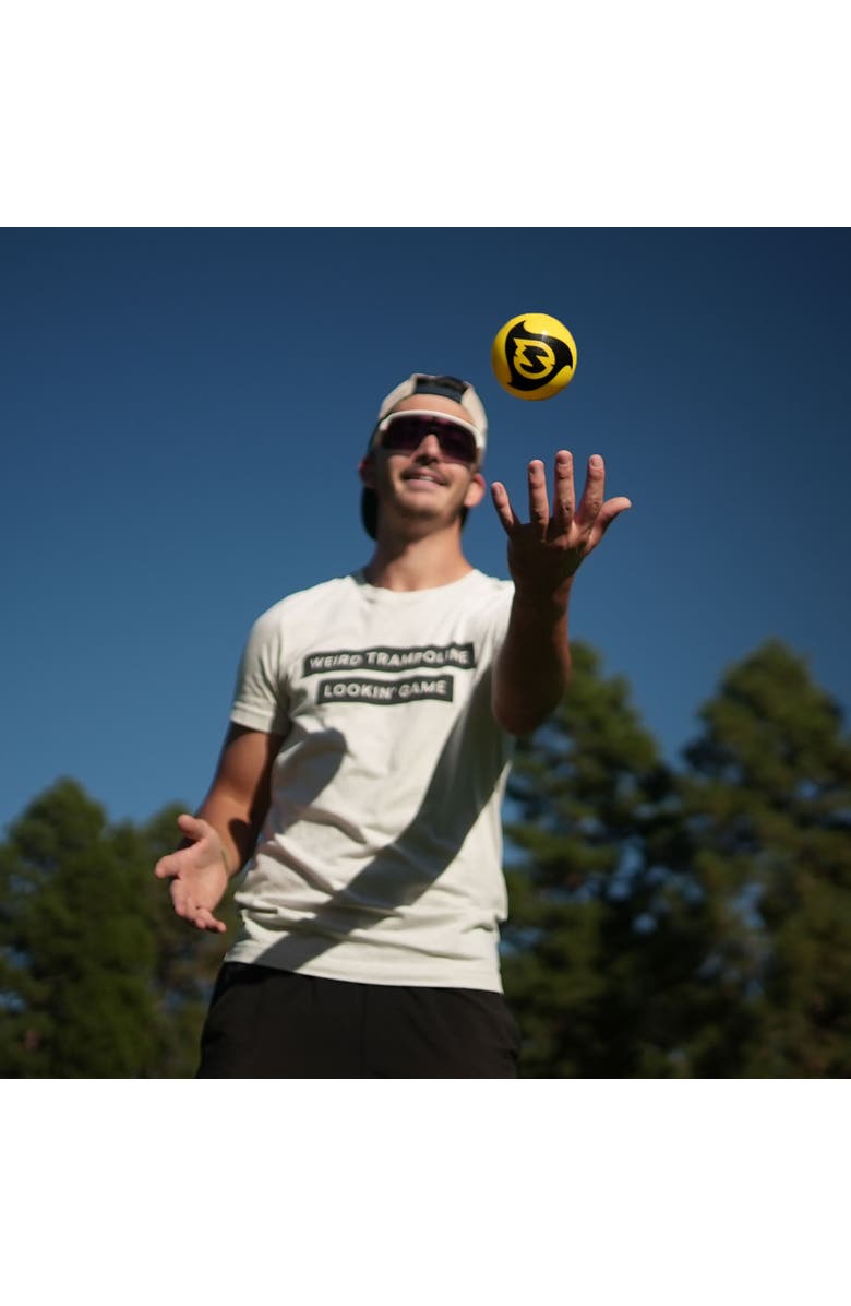 Spikeball Pro Balls 2 Pack 3.5 Inch Roundnet Accessory, Alternate, color, Multicolored