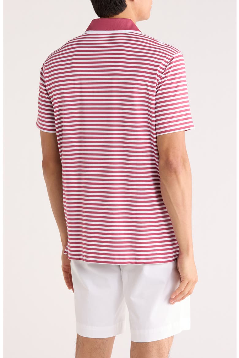 Feeder Stripe Polo, Alternate, color, PURPLE MULTI