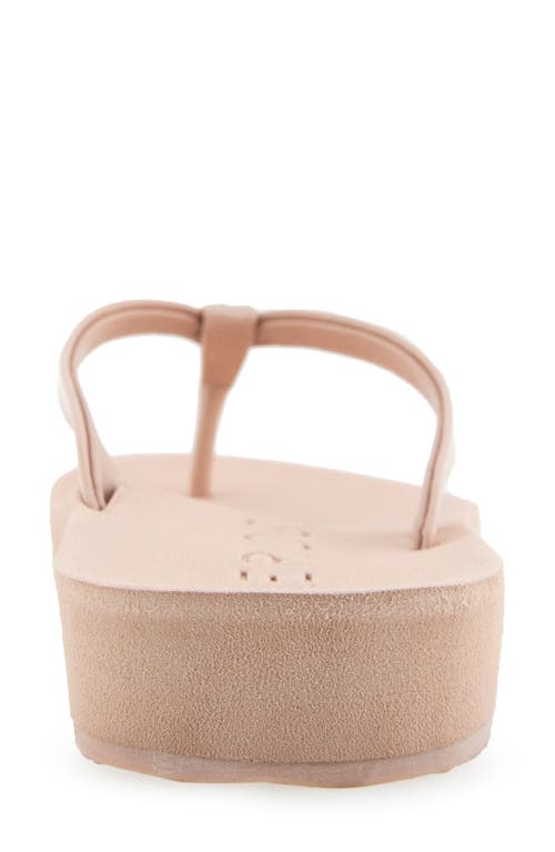 AEROSOLES AEROSOLES JACE FLIP FLOP