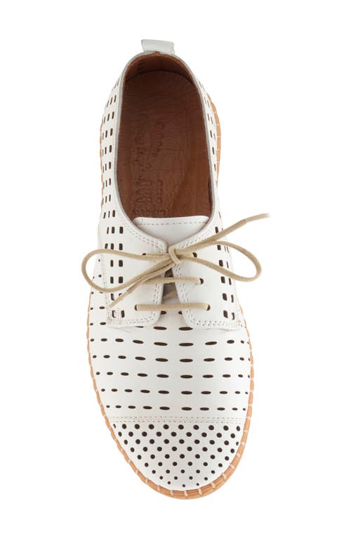 SPRING STEP SPRING STEP DEYSI PERFORATED DERBY