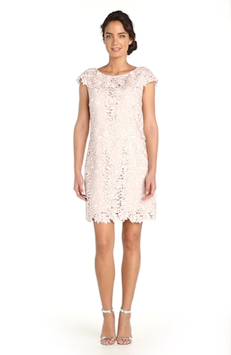 Eliza J Lace Cap Sleeve Shift Dress, Alternate, color,