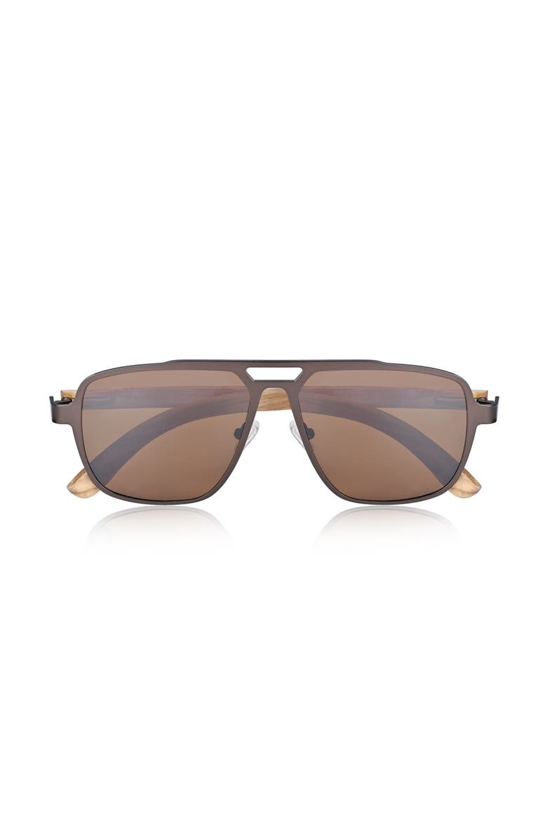Avila Polarized Sunglasses, Alternate, color, Zebra/Brown