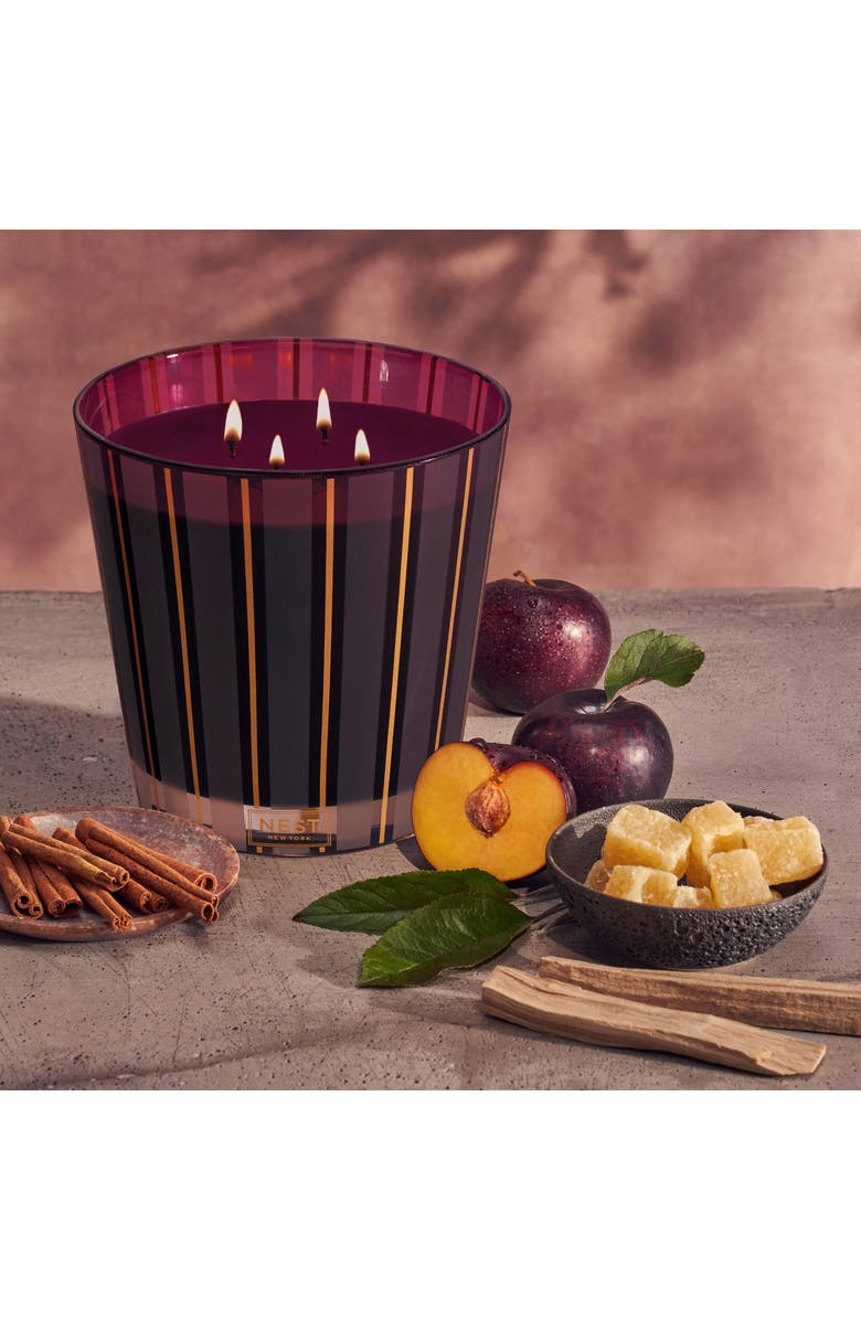 NEST New York Autumn Plum Four-Wick Luxury Candle, Alternate, color, 