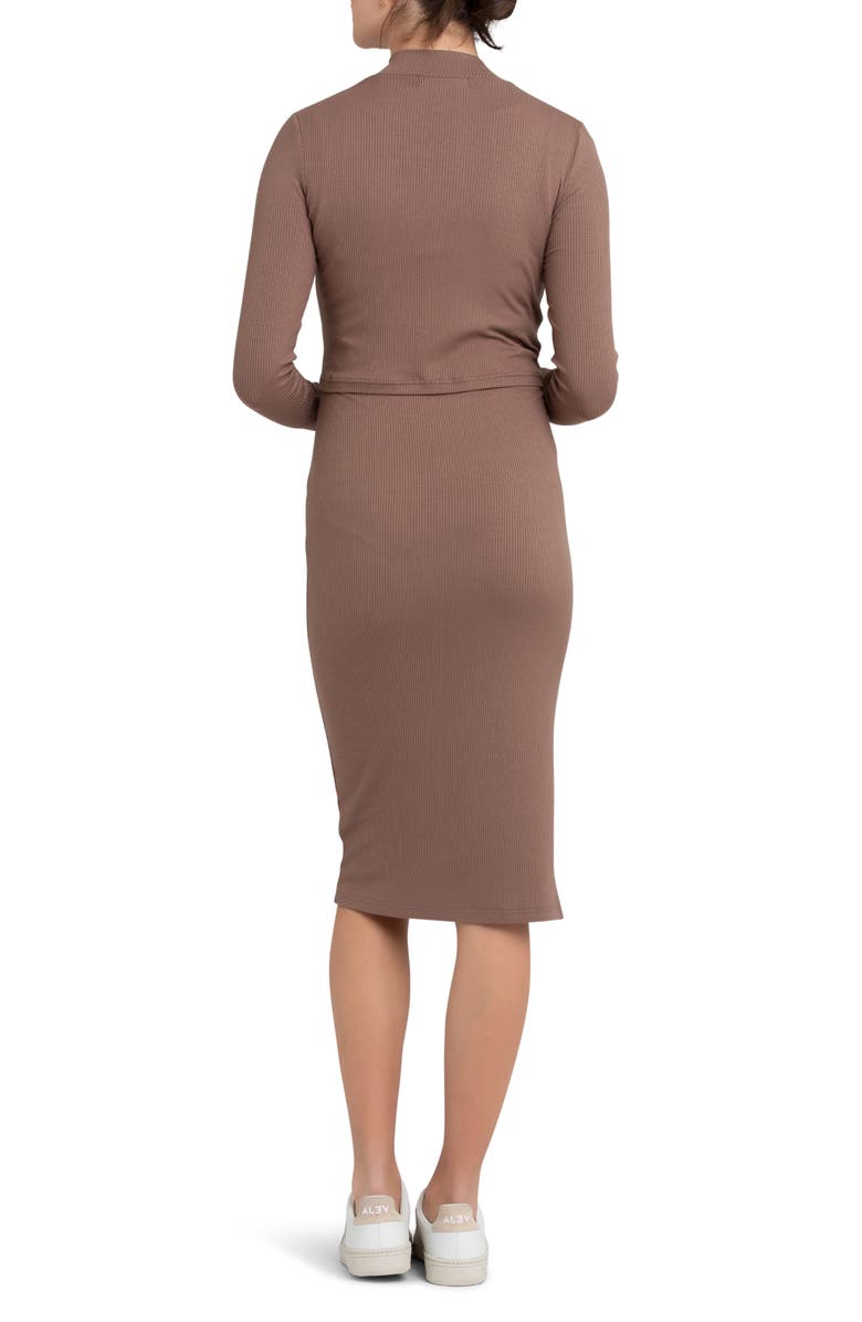 Ripe Maternity Ruby Layered Rib Long Sleeve Maternity/Nursing Dress, Alternate, color, 