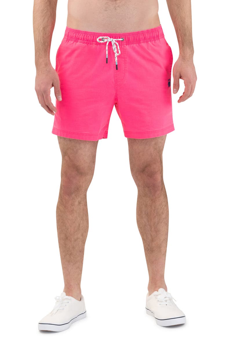 Party Pants Solid Vintage Volley Swim Shorts, Main, color, Pink