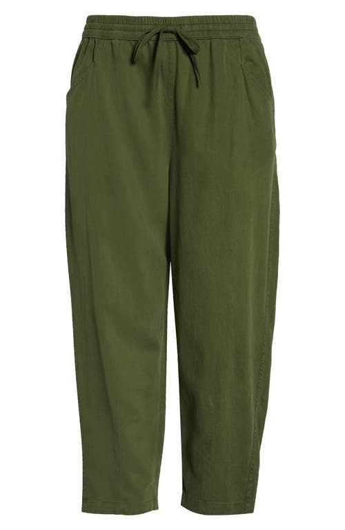 Caslonr Caslon(r) Pull-on Barrel Pants In Green