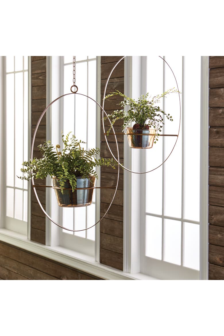 Boston Fern Rustic Drop-In 12", Alternate, color, Green