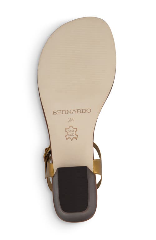Bernardo Goya T-strap Sandal In Brown