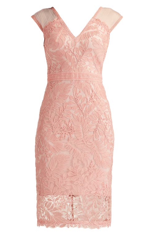 Tadashi Shoji Sleeveless Corded Lace Sheath Cocktail Dress In Pink