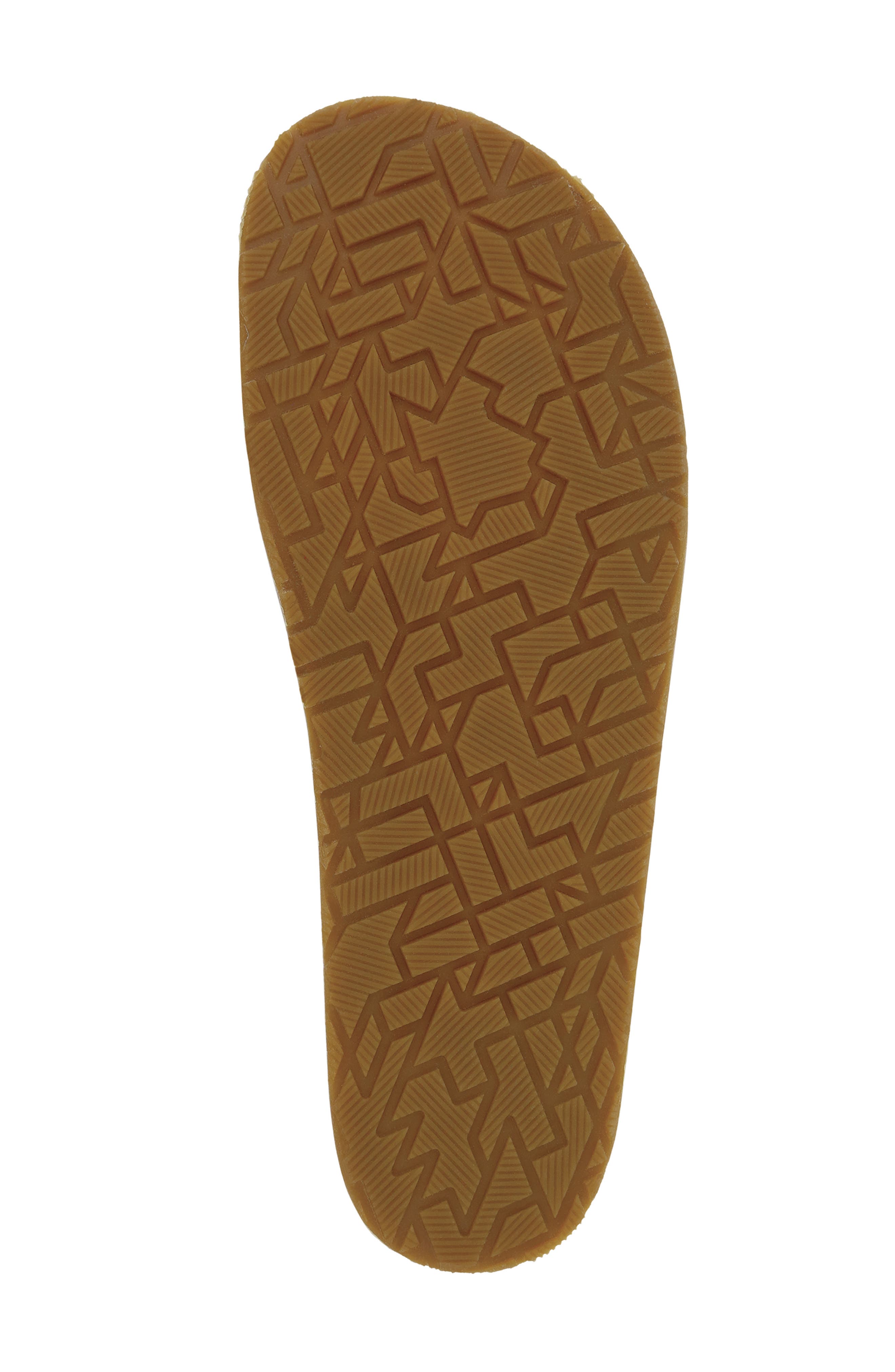 Hinny Mule, Alternate, color, CHESTNUT