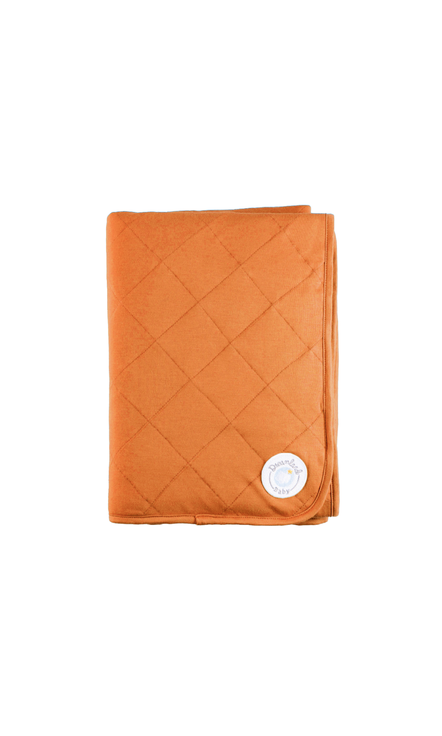 Dream  Baby Blanket