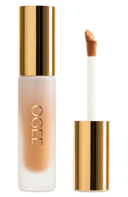 Ogee Complexion Perfecting Concealer In Green