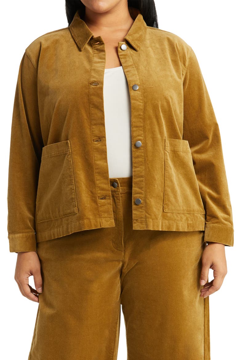 Classic Collar Organic Cotton Corduroy Jacket, Main, color, BUTTERNUT