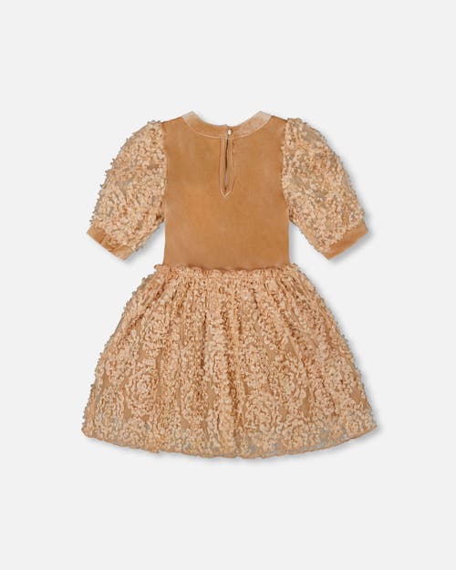 Deux Par Deux Puff Sleeve Bi-material Velour And Lace Dress In Brown