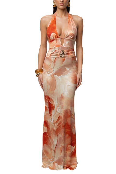 Floral Blossom Print Maxi Dress