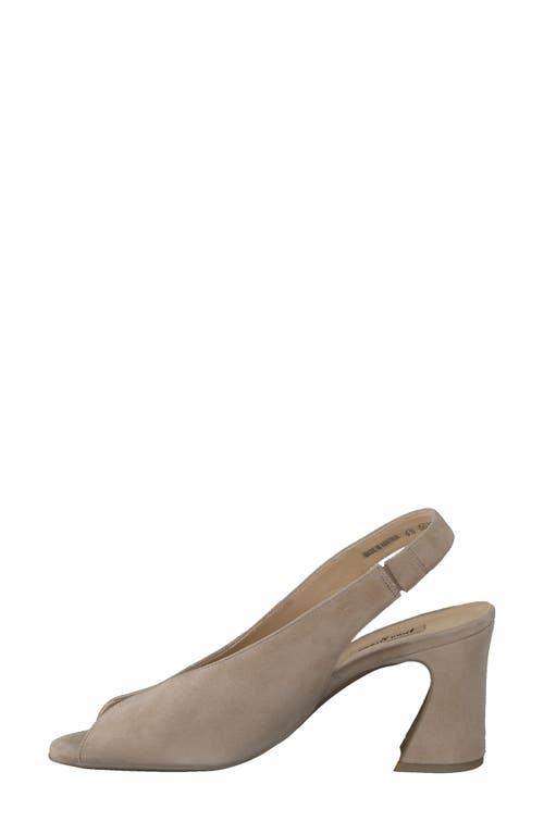 Paul Green Riviera Slingback Sandal In Champagne Suede