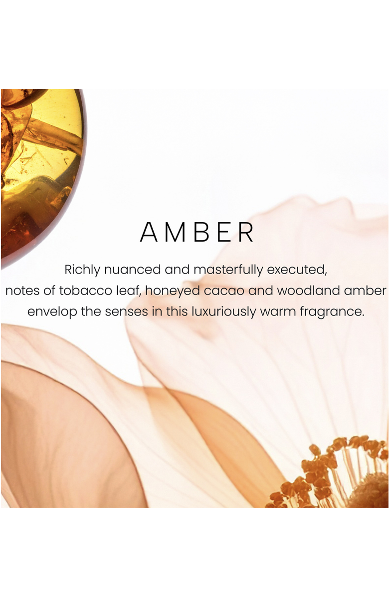 YANKEE CANDLE Amber Premium Scented Candle, Alternate, color, White