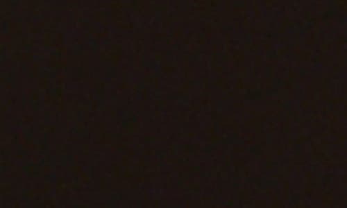 Adrianna Papell Rhinestone Rosette Halter Midi Sheath Dress In Black