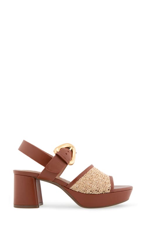 AEROSOLES AEROSOLES CHAMBER PLATFORM SANDAL