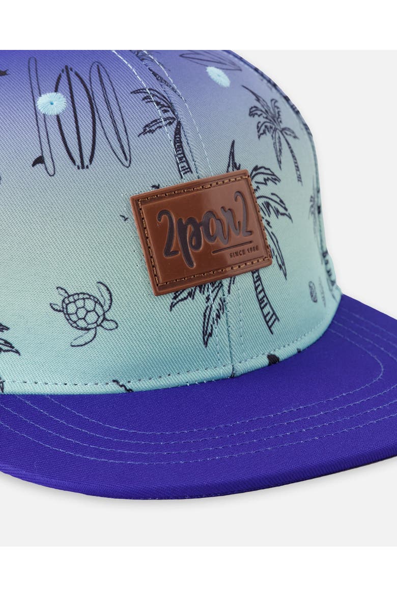 Boy Flat Brim Beach Cap, Alternate, color, Blue Beach Print