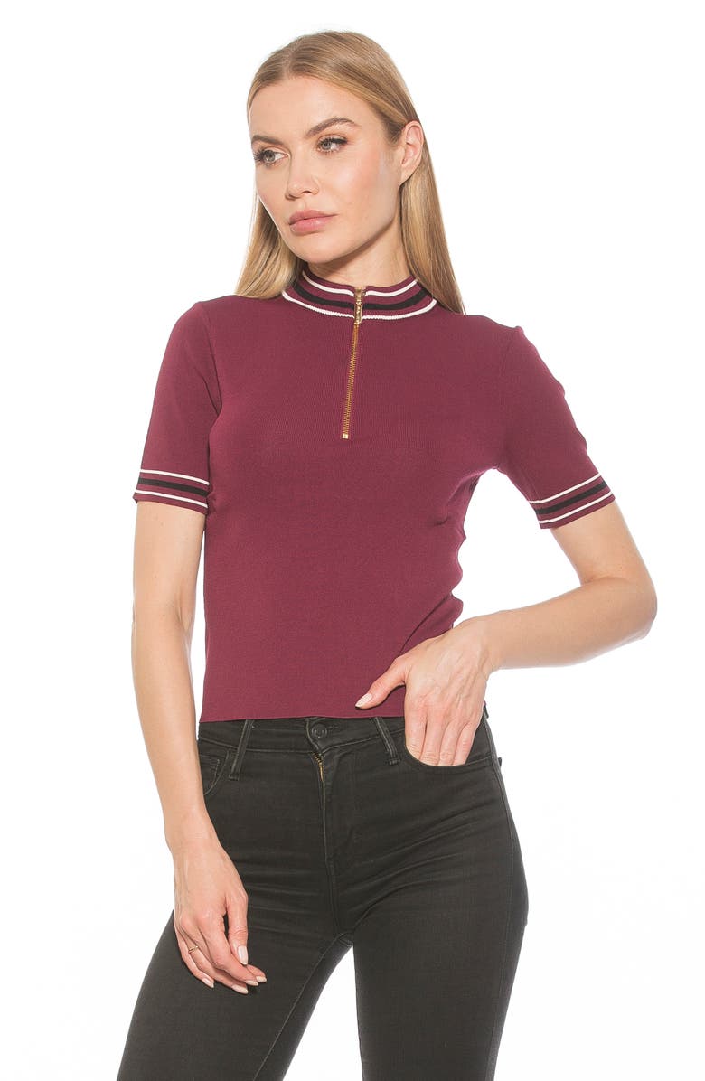 Alexia Admor Phoebe Short Sleeve Turtle Neck Sweater, Alternate, color, Burgundy