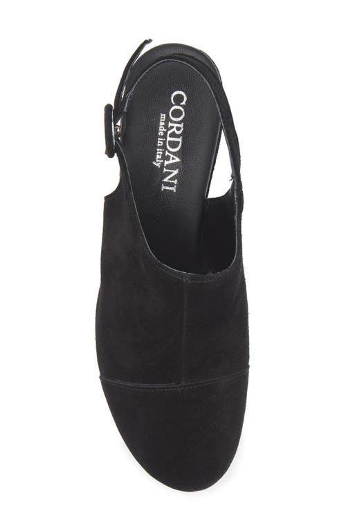 Cordani Tessa Block Heel Clog In Black