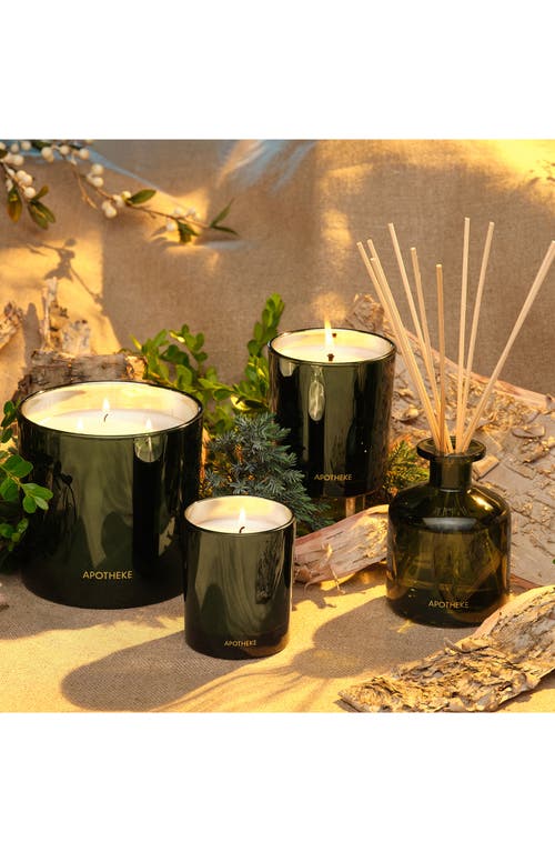 Apotheke Juniper Birch Petite Scented Candle In Green