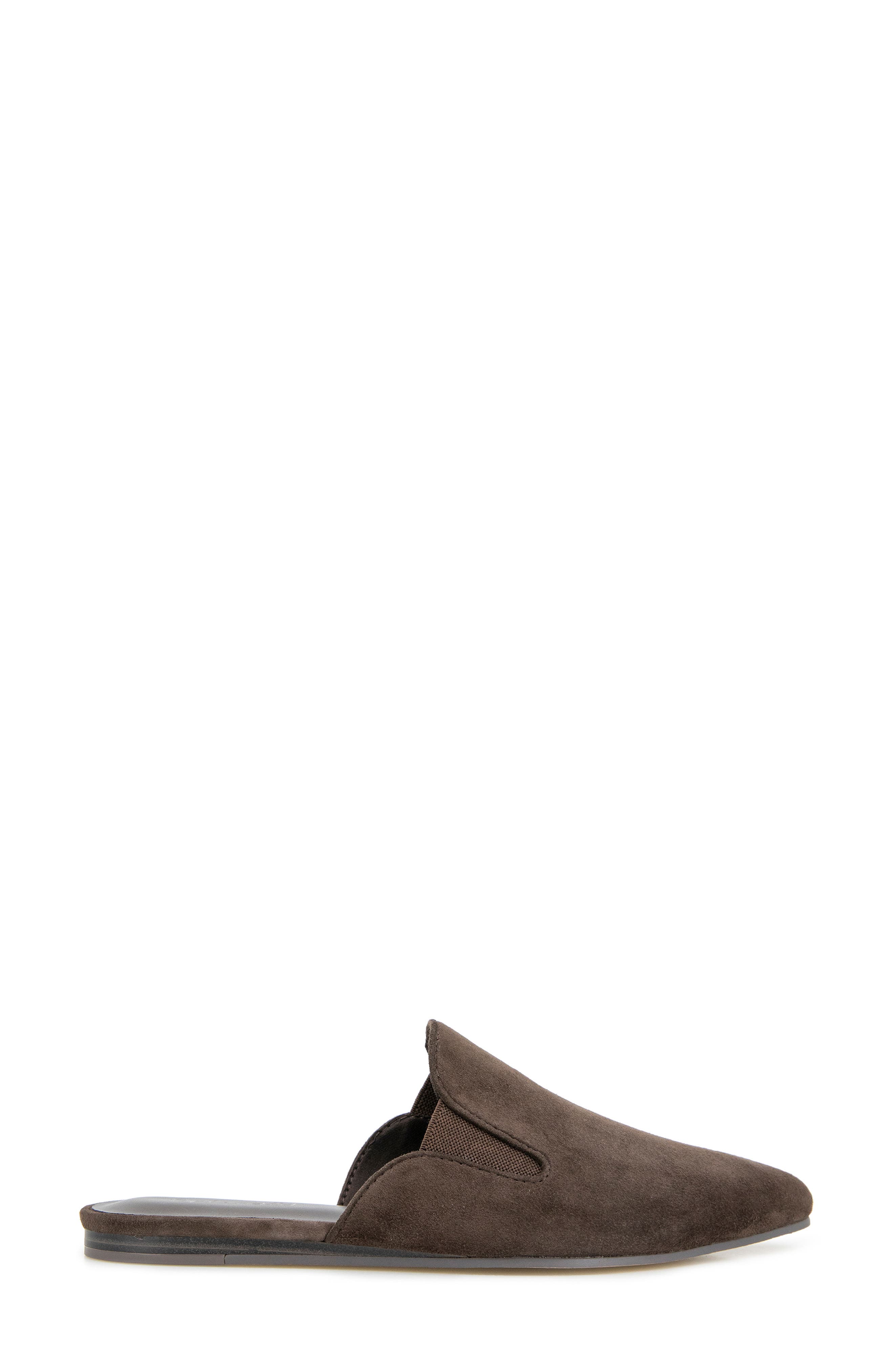 Liza Pointed Toe Mule, Alternate, color, SPICE