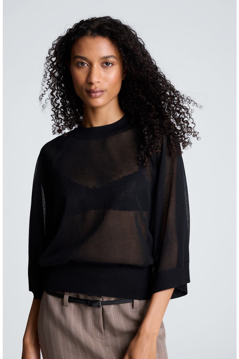 Raglan Sleeve Crewneck Sweater, Alternate, color, BLACK
