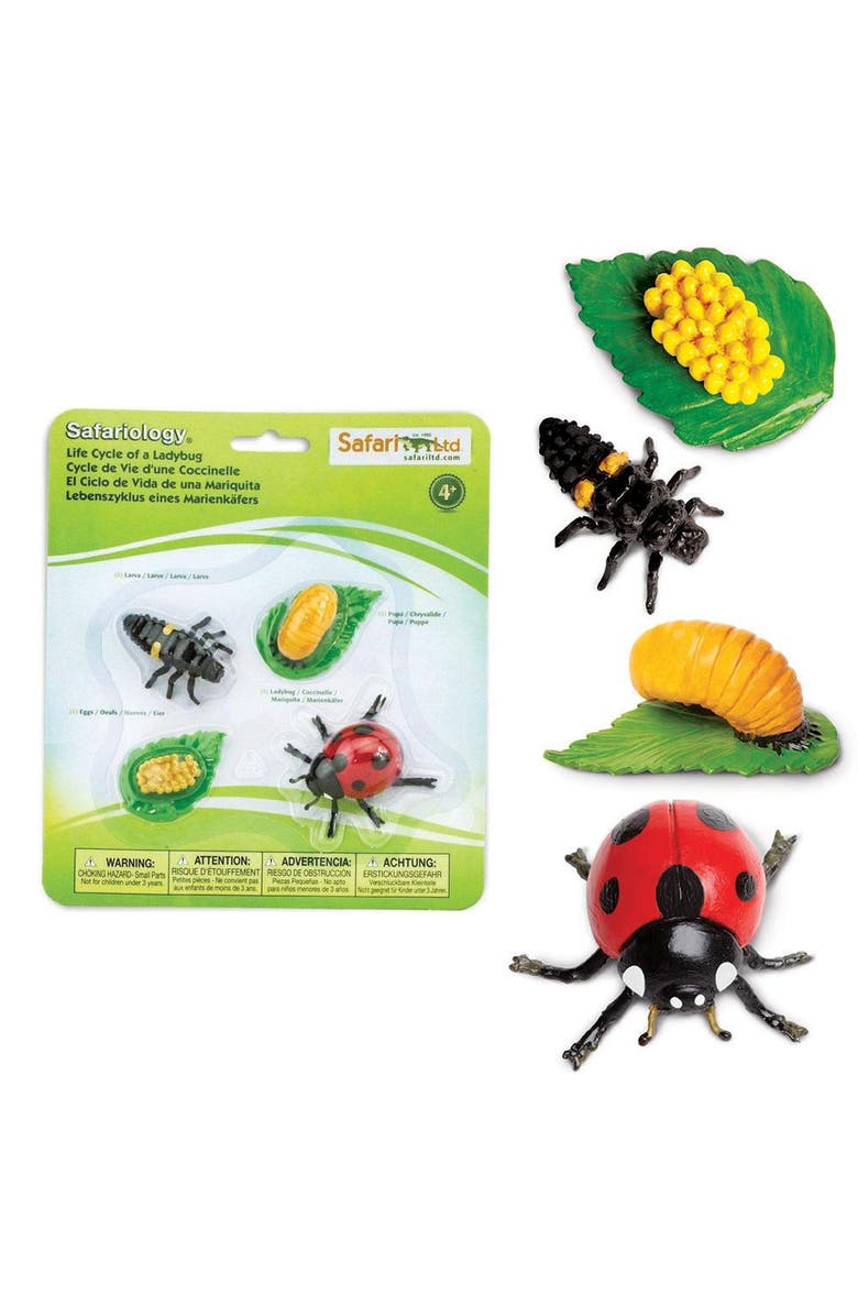 Safari Ltd. Life Cycle Of A Ladybug, Alternate, color, NO COLOR