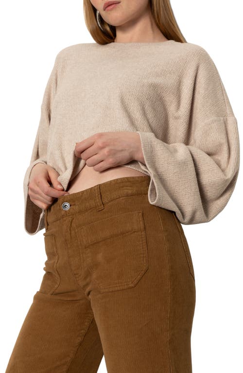 Sanctuary Marine Patch Pocket Stretch Cotton Corduroy Pants In Brown