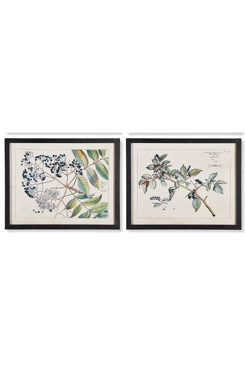 Berry Branch Botanical Study, Set Of 6, Alternate, color, Blue