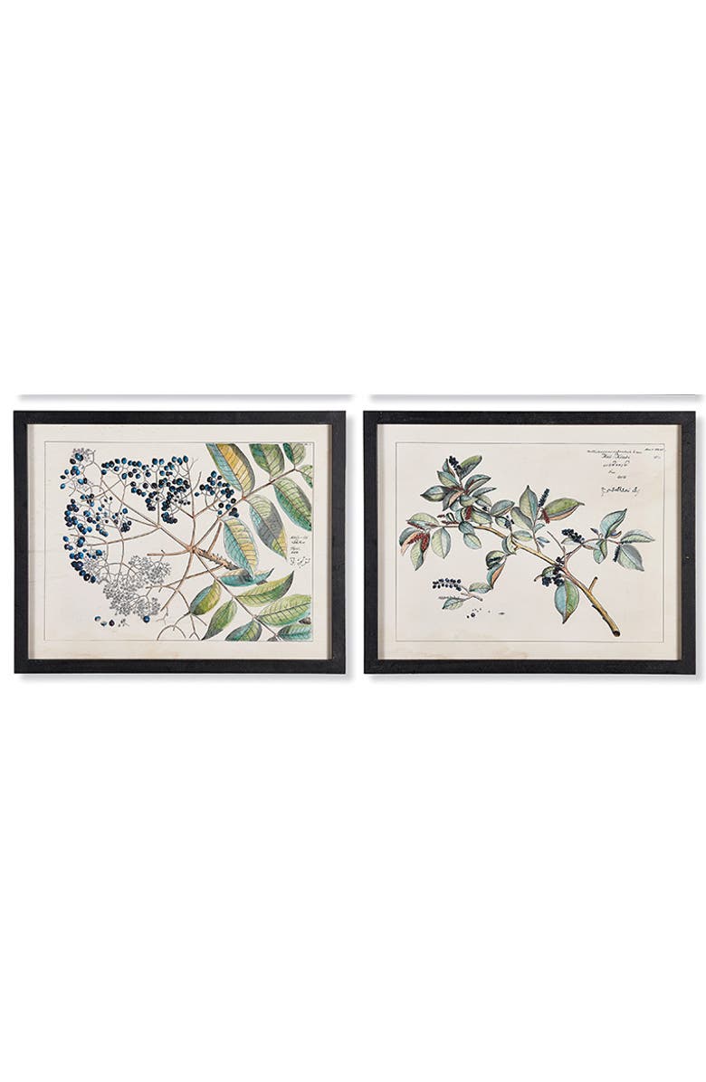 Napa Home & Garden Berry Branch Botanical Study, Set Of 6, Alternate, color, 